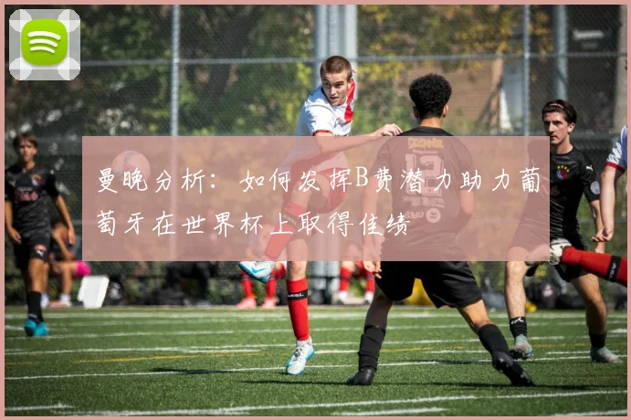 曼晚分析：如何发挥B费潜力助力葡萄牙在世界杯上取得佳绩